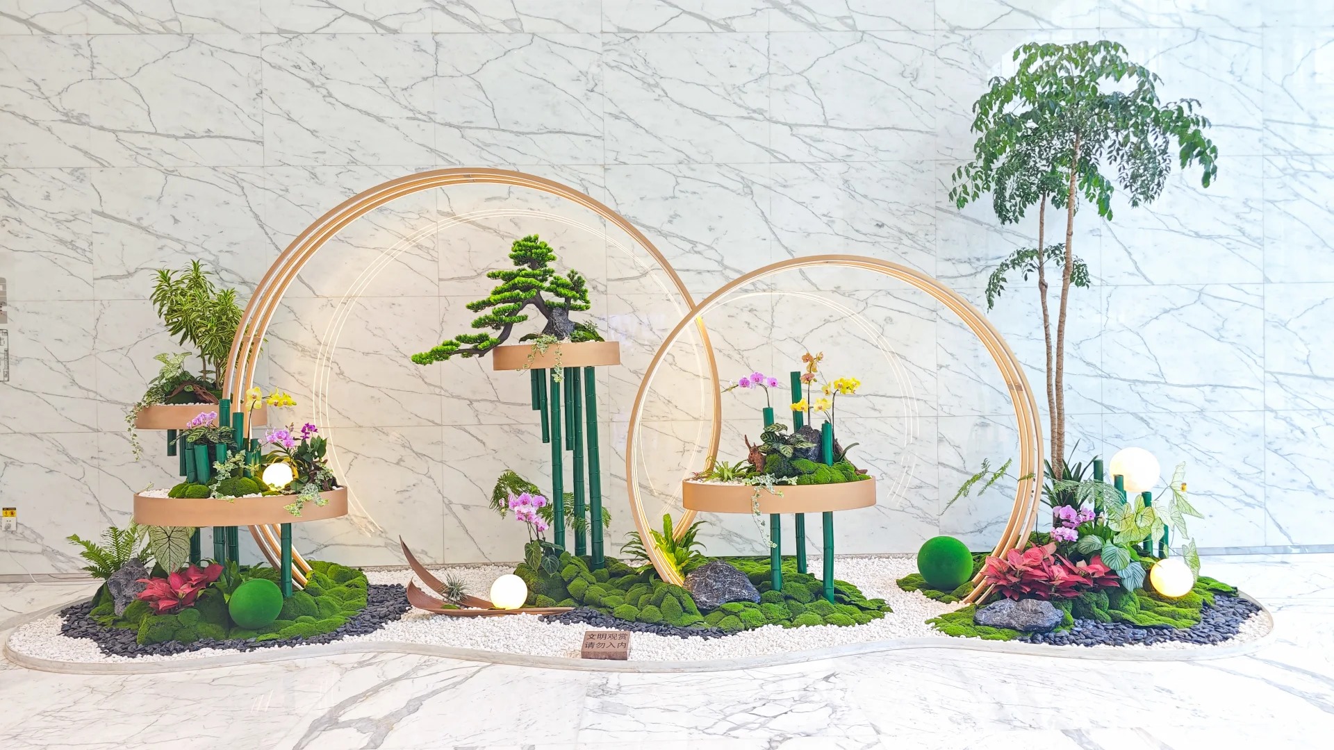 余姚盆景租摆，为空间增添别样生机与艺术气息