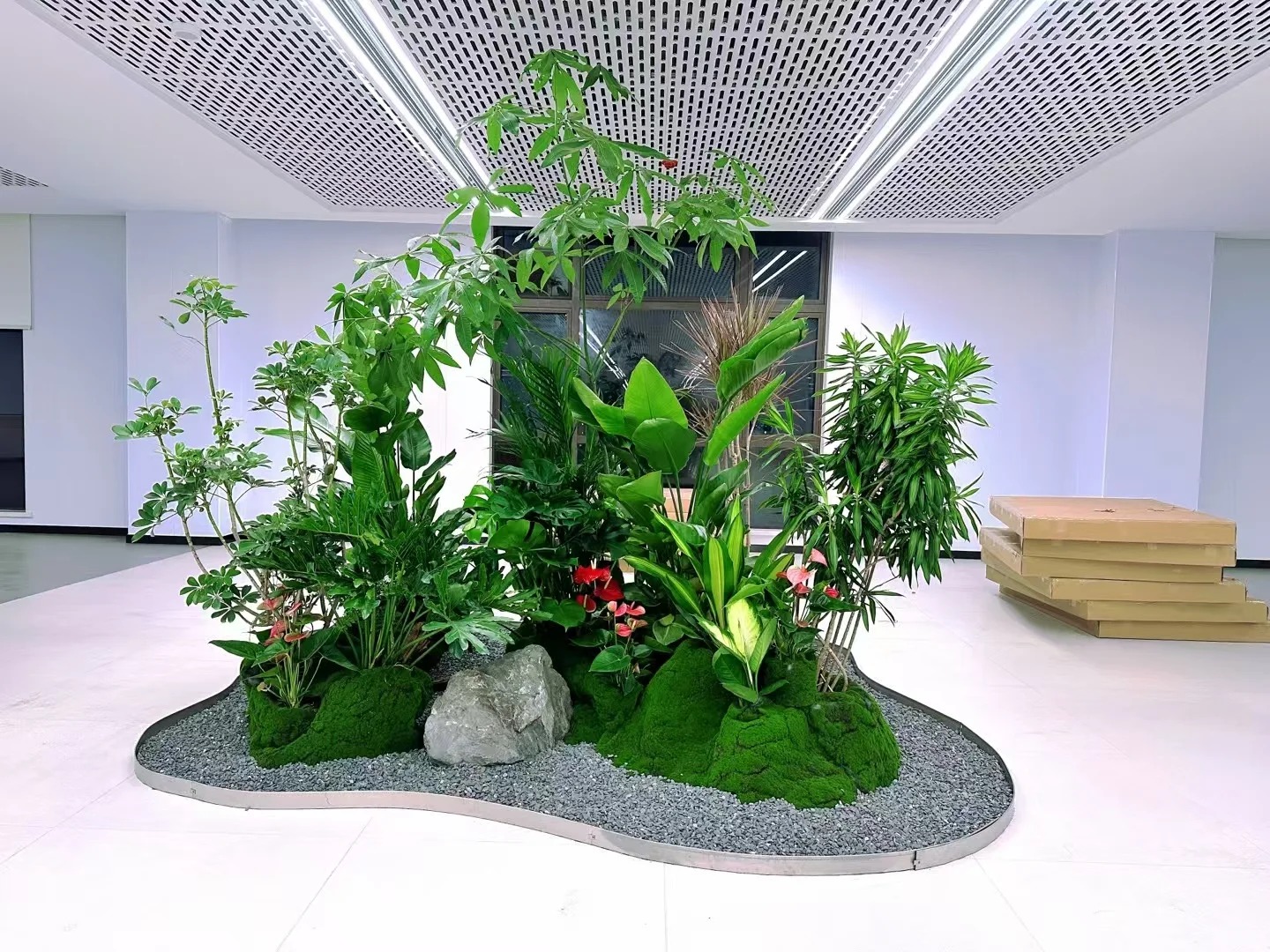 余姚盆景租摆，为空间增添别样生机与艺术气息